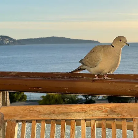 Nice, Exceptional Sea View, Floor, Parking Lägenhet *