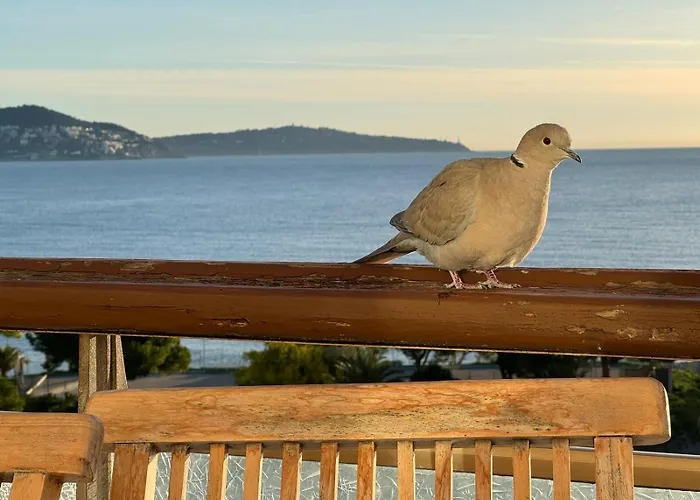 Nice, Exceptional Sea View, Floor, Parking Apartment *